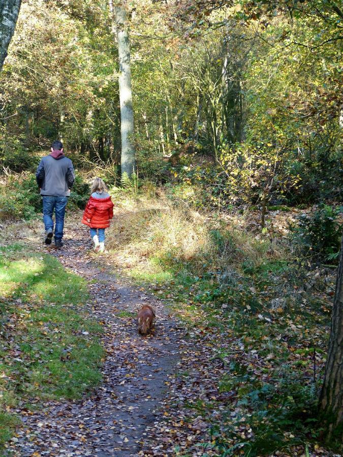Wildenborcherhof Vorden Extérieur photo